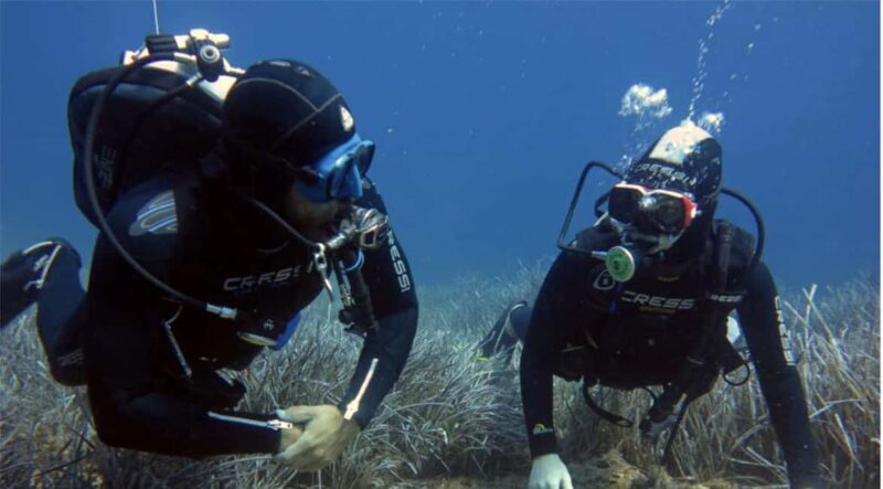 Paros: Scuba Diving Experience - What Do Participants Say?
