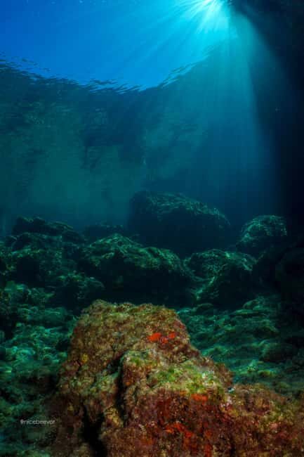 Paros: Scuba Diving Experience - Practical Tips for Booking and Enjoying