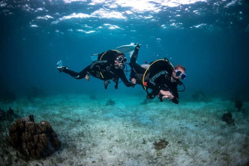 Paros: Scuba Diving Experience - FAQs
