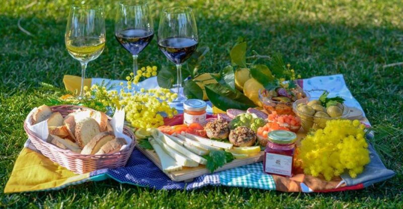 partinico-farm-augustali-winery-tour-with-picnic-tastings