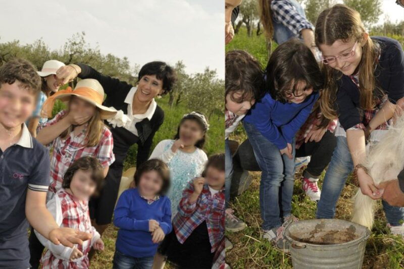 partinico-farms-animals-and-aromatic-garden-experience