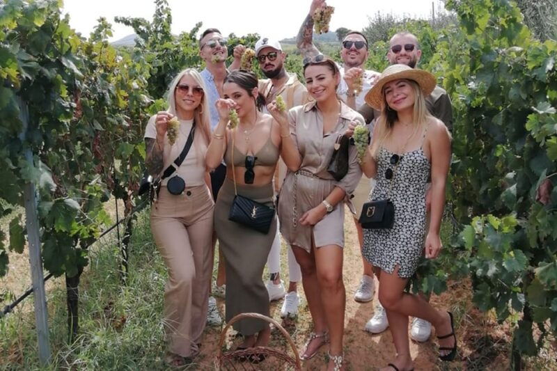 partinico-grape-harvest-in-the-lands-of-frederik-ii-of-swabia
