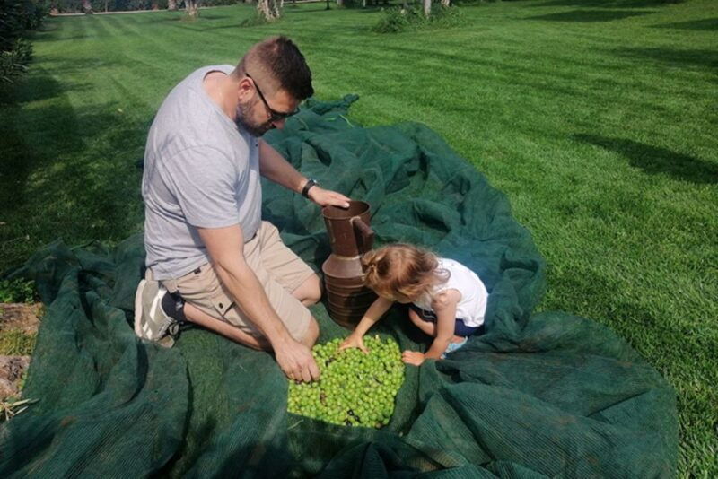 partinico-olive-harvest-with-wine-tasting-and-brunch