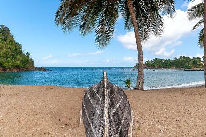 partlatuvier-bay-day-trip-with-lunch