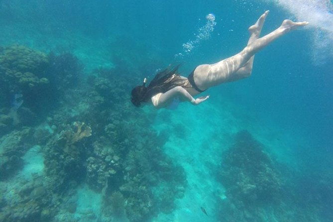 party-boat-in-catamaran-with-open-bar-snorkeling