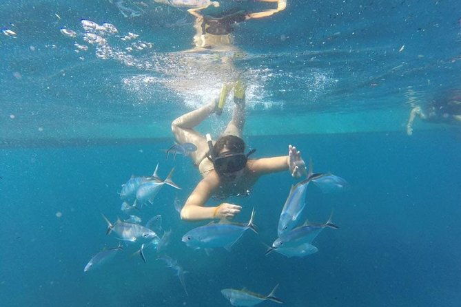 party-boat-in-catamaran-with-open-bar-snorkeling
