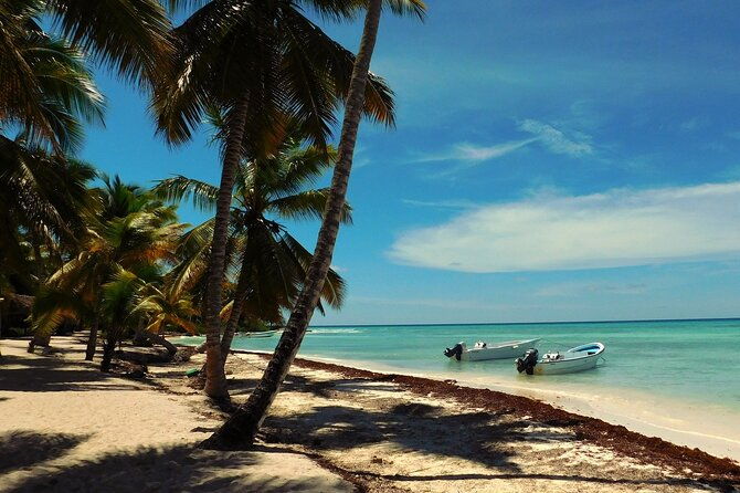 party-boat-saona-and-natural-pool-from-bayahibe