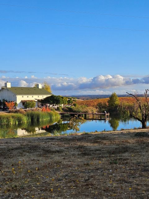 Paso Robles & Atascadero: 3-Winery Tour Including Lunch - Cost & Value Analysis