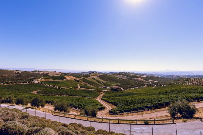 paso-robles-full-day-wine-tour-with-picnic-lunch-included