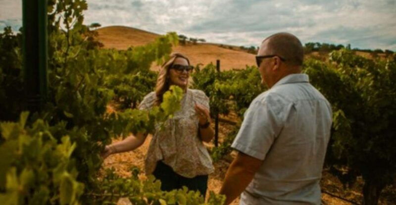 paso-robles-grapevine-getaway-exclusive-wine-tour