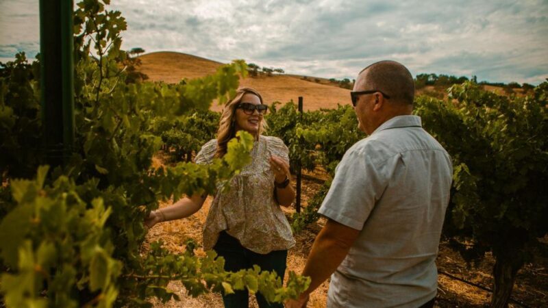 Paso Robles: Scenic Sidecar Vineyard Tour - A Closer Look at the Experience