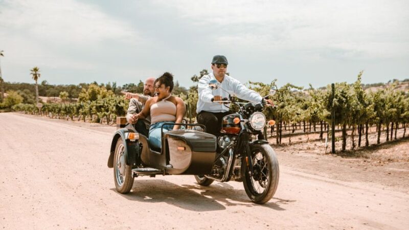 Paso Robles: Scenic Sidecar Vineyard Tour - Who Will Love This Experience?
