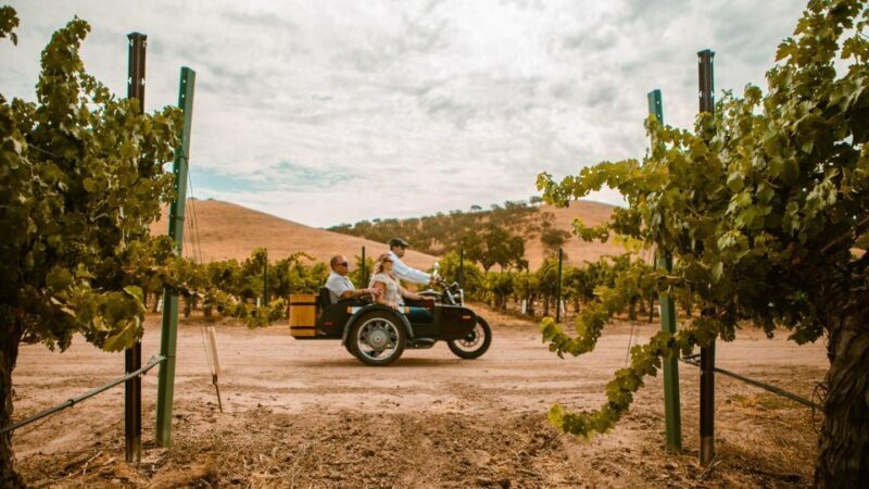 Paso Robles: Scenic Sidecar Vineyard Tour - Final Thoughts