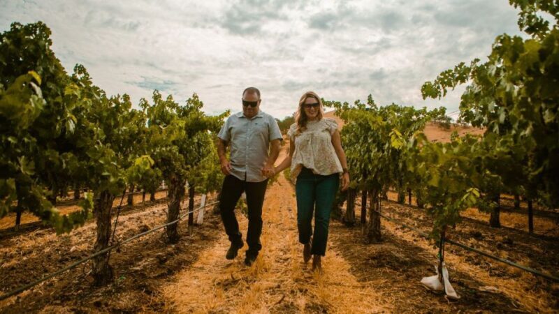 Paso Robles: The Luxe Wine Trail Excursion - The Sum Up: Is This Tour Right for You?