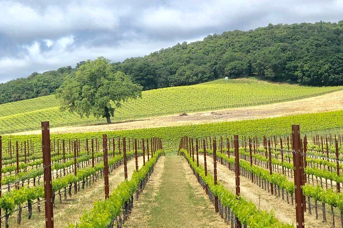 Paso Robles Wine Tour: We Drive Your Vehicle - Frequently Asked Questions