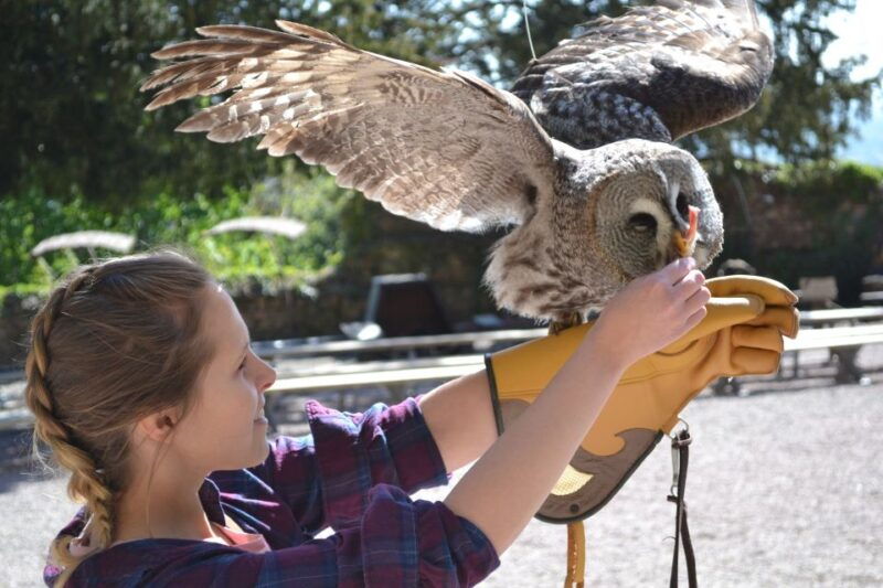 pass-alsace-the-best-of-alsace-in-your-pocket