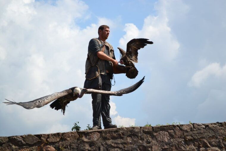 pass-alsace-the-best-of-alsace-in-your-pocket