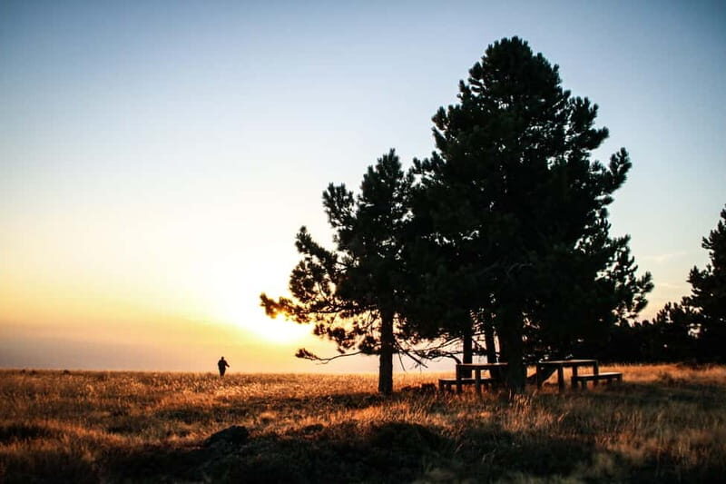 Passeio Guiado em 4x4 para conhecer a Serra da Estrela - Who Will Love This Tour?
