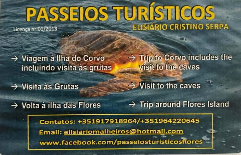 Passeios Turísticos: Trip to Corvo by Boat - An In-Depth Look at the Boat Trip to Corvo