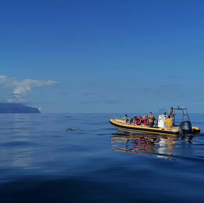 Passeios Turísticos: Trip to Corvo by Boat - Who Should Consider This Tour?