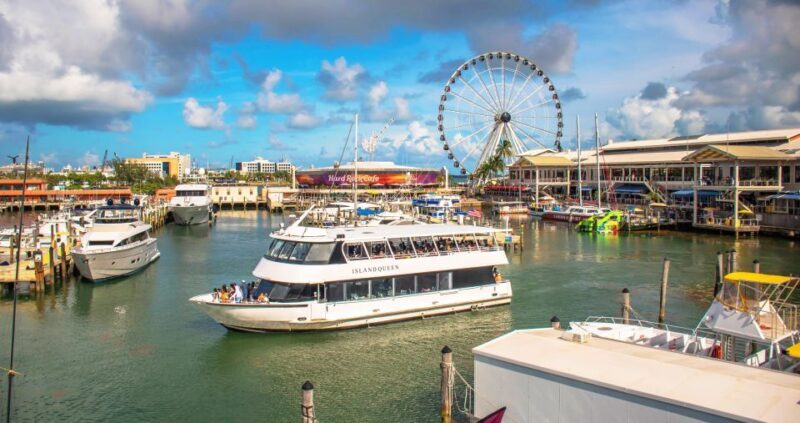 Passin Miami: 30+ Attractions, eSIM & 1-Way Airport Transfer - Who Will Love This Tour?