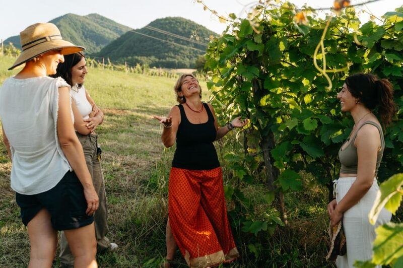 pasta-and-wine-an-experience-between-greenery-and-peace-taste-and-companionship