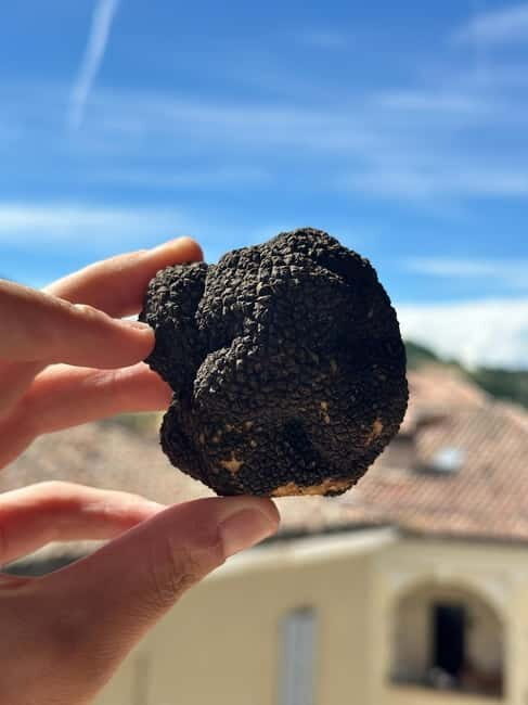 Pasta-Making & Truffle Class with Wine Included - Why It’s a Must-Do