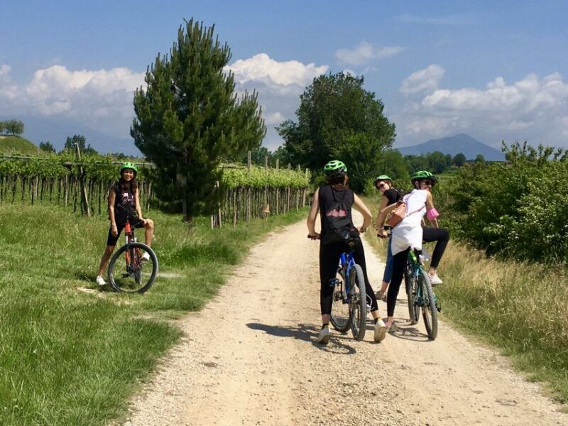 pastrengo-e-bike-tour-and-wine-tasting-in-the-castle