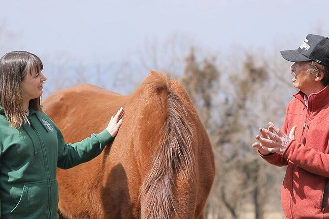 pasture-hike-with-horse-whisperer-at-horse-trust-in-kagoshima