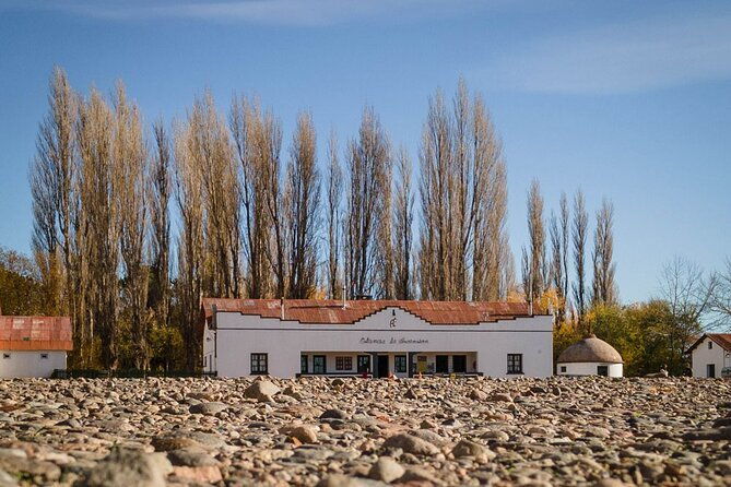 patagonia-national-park-full-day-private-tour