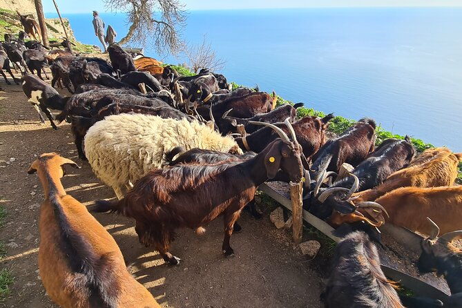 path-of-gods-hike-with-food-experience-at-shepherds-hut
