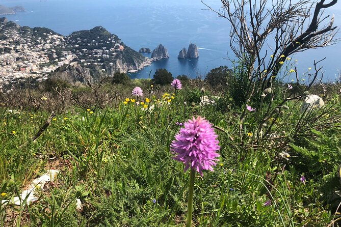 path-of-the-gods-gastronomical-hiking-with-food-tasting-2