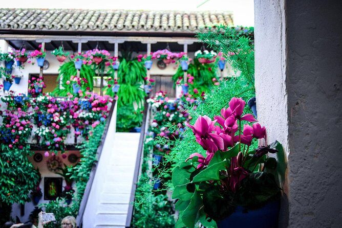 Patios tour in Cordoba - A Closer Look at the Patios Tour in Córdoba