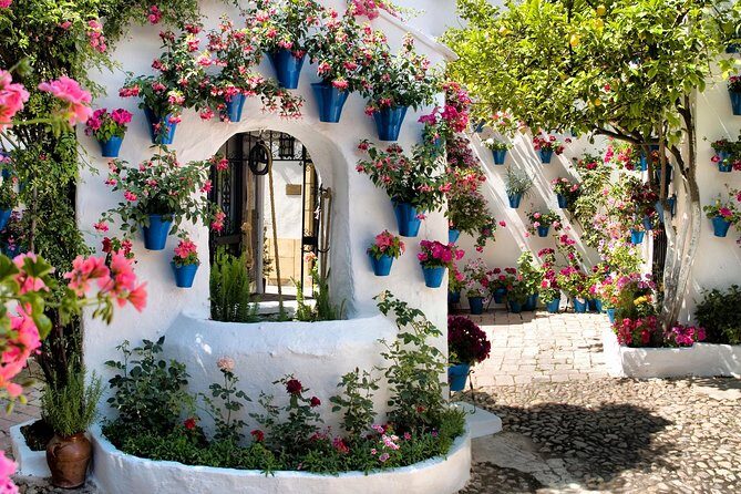 Patios tour in Cordoba - Final Thoughts