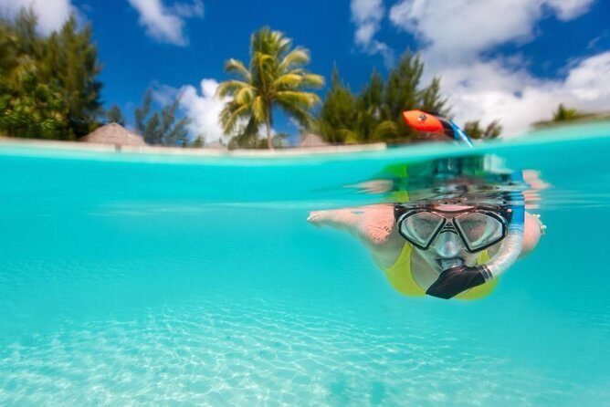 Pattaya Coral Islands Tour with Lunch - The Experience: What to Expect on the Coral Islands Tour