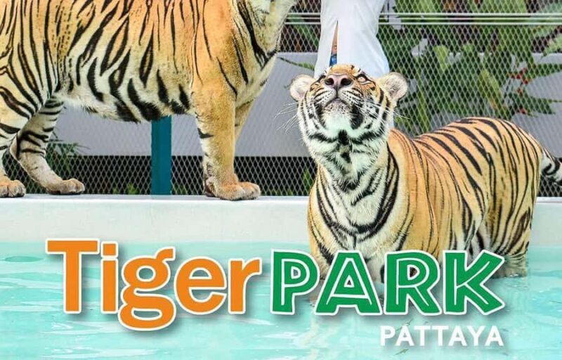 Pattaya Custom Tour Private Car Charter from Bangkok - The Sum Up