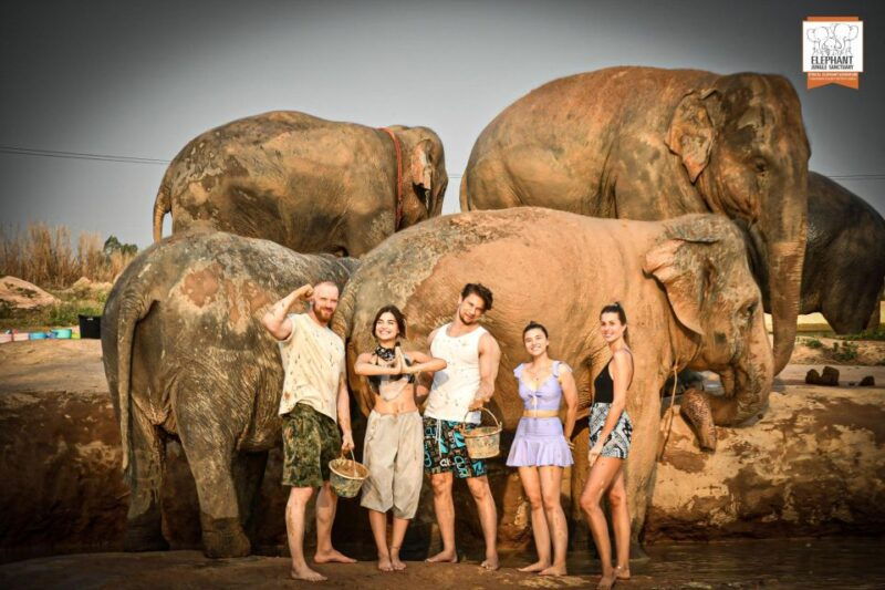 pattaya-elephant-jungle-sanctuary-feeding-experience