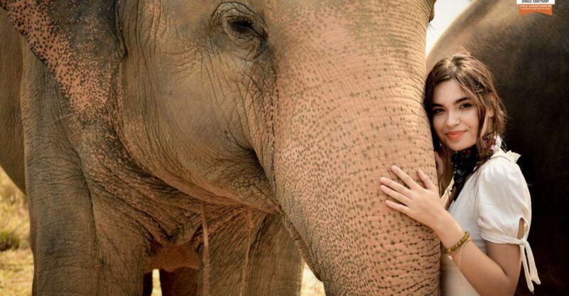 pattaya-elephant-jungle-sanctuary-feeding-experience