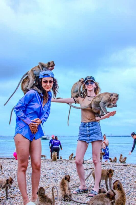 Pattaya: Exclusive 3-Island Catamaran Tour with Buffet Lunch - A Practical Look at the Experience