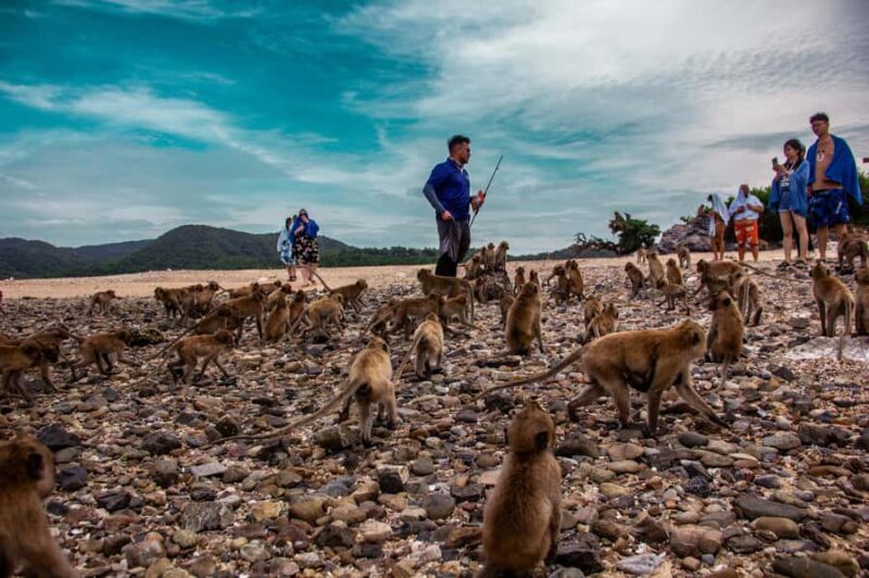 Pattaya: Exclusive 3-Island Catamaran Tour with Buffet Lunch - FAQ