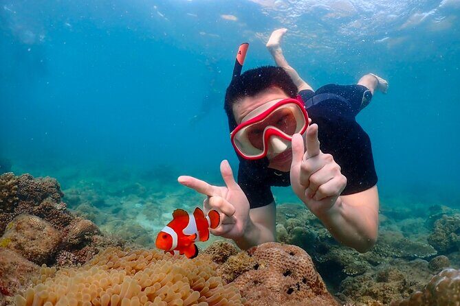 Pattaya : Finding Nemo Snorkeling Tour by Private speedboat - The Experience in Detail