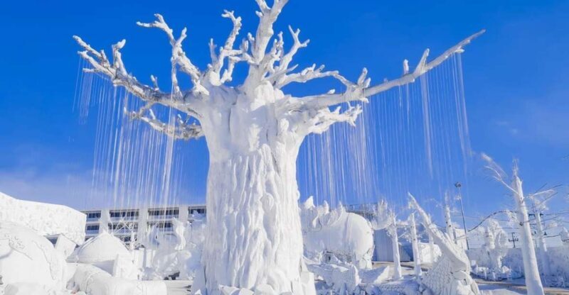 Pattaya: Frost Magical Ice of Siam Entry Ticket - The Experience: What to Expect