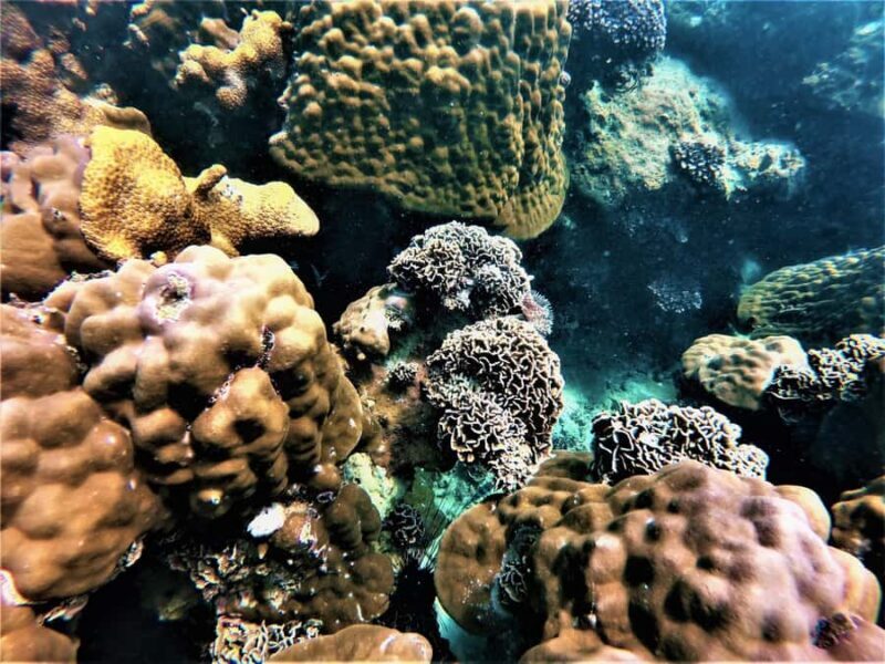 Pattaya: Full-Day 2 Islands Yacht Trip with Lunch and Sunset - Practical Considerations and Tips