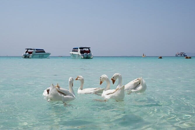 Pattaya Island Trip with Drone Photo by Speed Boat - Final Thoughts