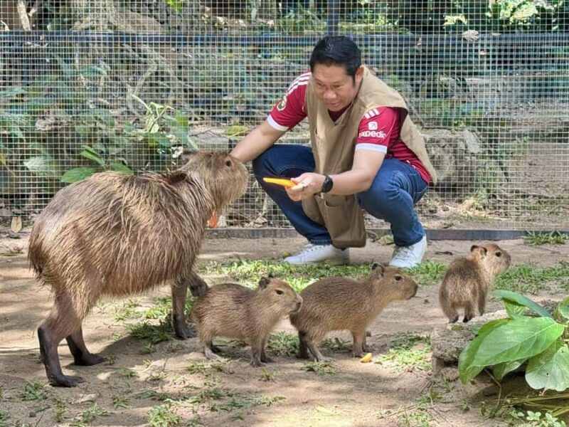 Pattaya: Khao Kheow Zoo & J-Park Japanese Village Day Trip - Pattaya: Khao Kheow Zoo & J-Park Japanese Village Day Trip Review