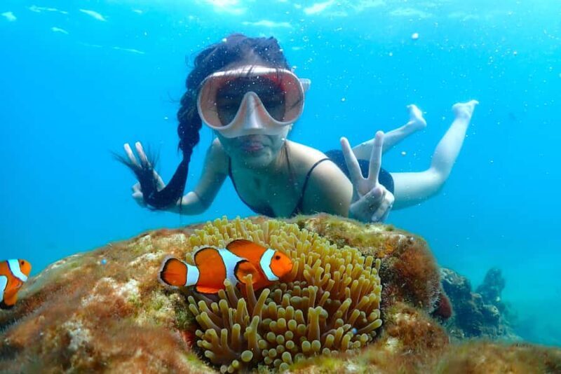 Pattaya: Private Speedboat Nemo Island with Snorkel & BBQ - An Honest Look at the Experience