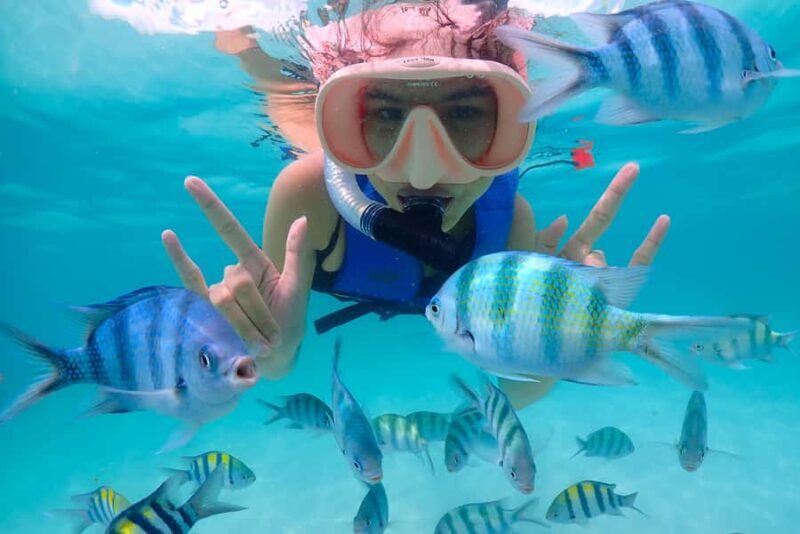 Pattaya: Private Speedboat Nemo Island with Snorkel & BBQ - Frequently Asked Questions