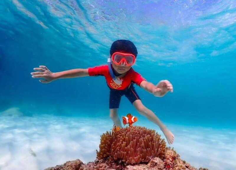 pattaya-private-speedboat-to-nemo-island-with-snorkel-bbq