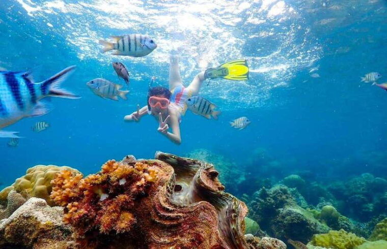 pattaya-private-speedboat-to-nemo-island-with-snorkel-bbq