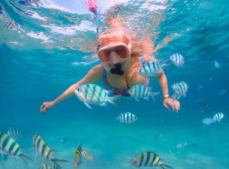 pattaya-private-speedboat-to-nemo-island-with-snorkel-bbq